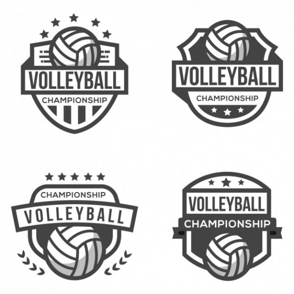 Volleyballs Four Logos