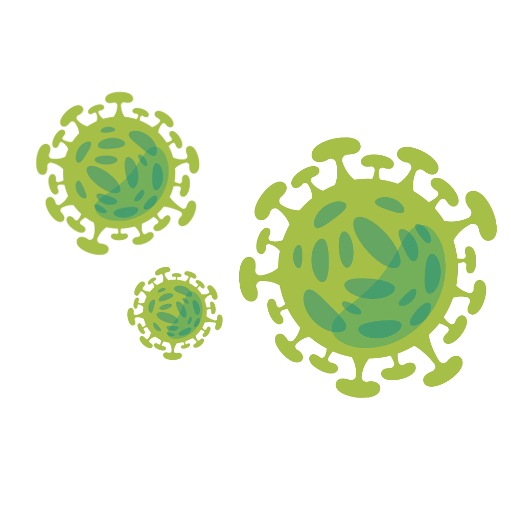 COVID19 virus